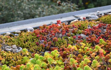 the cost of Dalkeith green roof installation