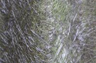 Dalkeith fibreglass roof work